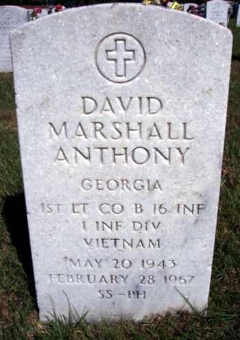 David M Anthony