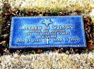 Alfred M Wilson