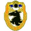 37TH SIG BN